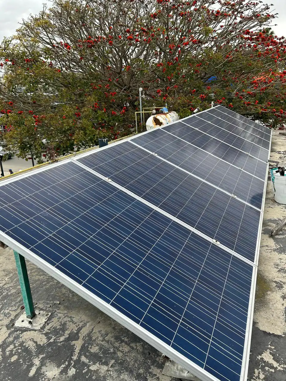 Instalación de Páneles Solares en Restaurante